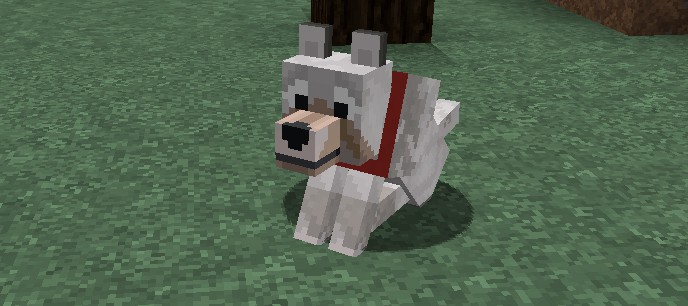 Comment Apprivoiser Les Animaux Dans Minecraft Minecraft Facile