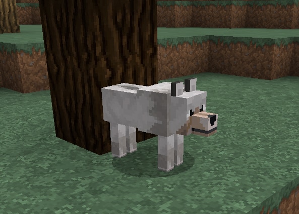 Comment Apprivoiser Les Animaux Dans Minecraft Minecraft Facile