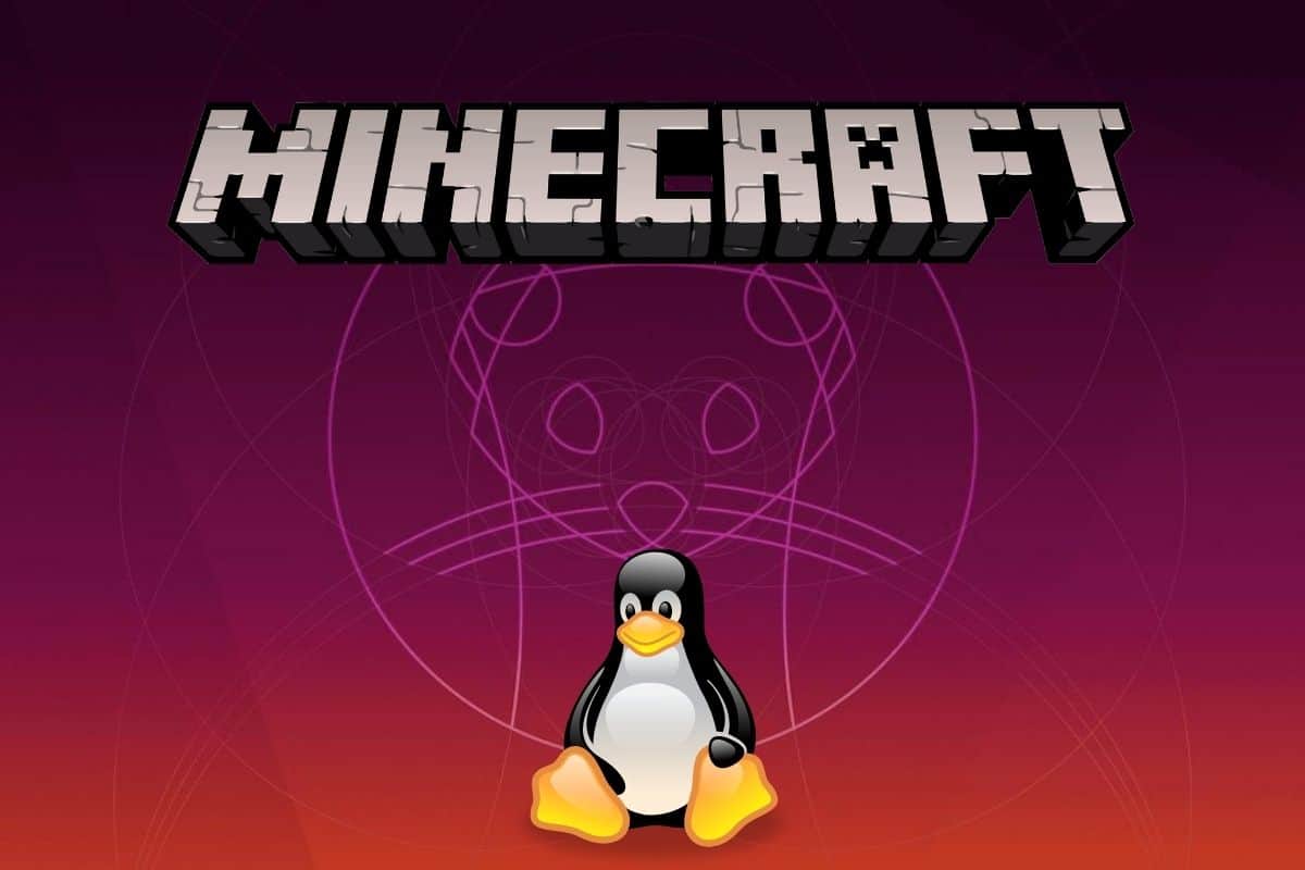 Comment Installer Minecraft sur Linux ? (Premium ou Crack)