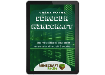 Crée ton propre serveur Minecraft